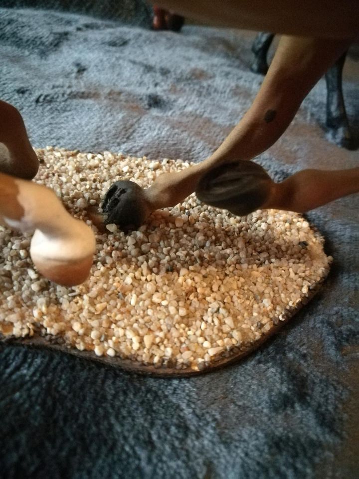 Breyer Classic custom polo pony gehairt palomino in Ramsthal