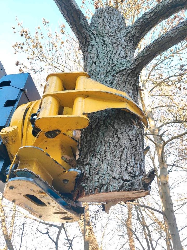 Magni Fällkran Kinshofer Baumschere uniforest Sortiergreifer in Nürnberg (Mittelfr)