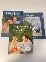Martin Rütter - Welpentraining | Sprachkurs Hund | Hundetraining Niedersachsen - Melle Vorschau