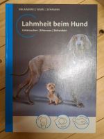 Lahmheit beim Hund Mecklenburg-Vorpommern - Warlow Vorschau