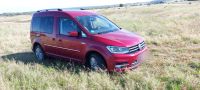 Volkswagen Caddy 2,0TDI 75kW BMT DSG Highline 5-Sitze Mecklenburg-Vorpommern - Löcknitz Vorschau