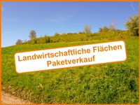 LW/FW-Grundstücke im Paket - Knapp 4 ha aktuell verpachtet in der Gemarkung Wohnsgehaig Bayern - Mistelgau Vorschau