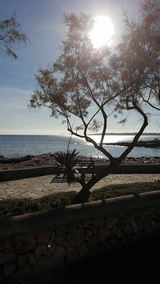 Ferienwohnung direkt am Meer - Mallorca, Cala Millor in Pohlheim