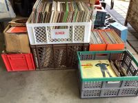 **Große Schallplattensammlung – 250 LPs und 100 Singles** Baden-Württemberg - Langenargen Vorschau