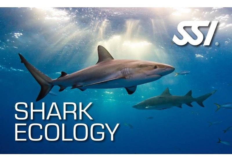 SSI shark Ecology online Specialty dive ssi tauchen owd aowd in Welfesholz