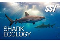 SSI shark Ecology online Specialty dive ssi tauchen owd aowd Gerbstedt - Welfesholz Vorschau