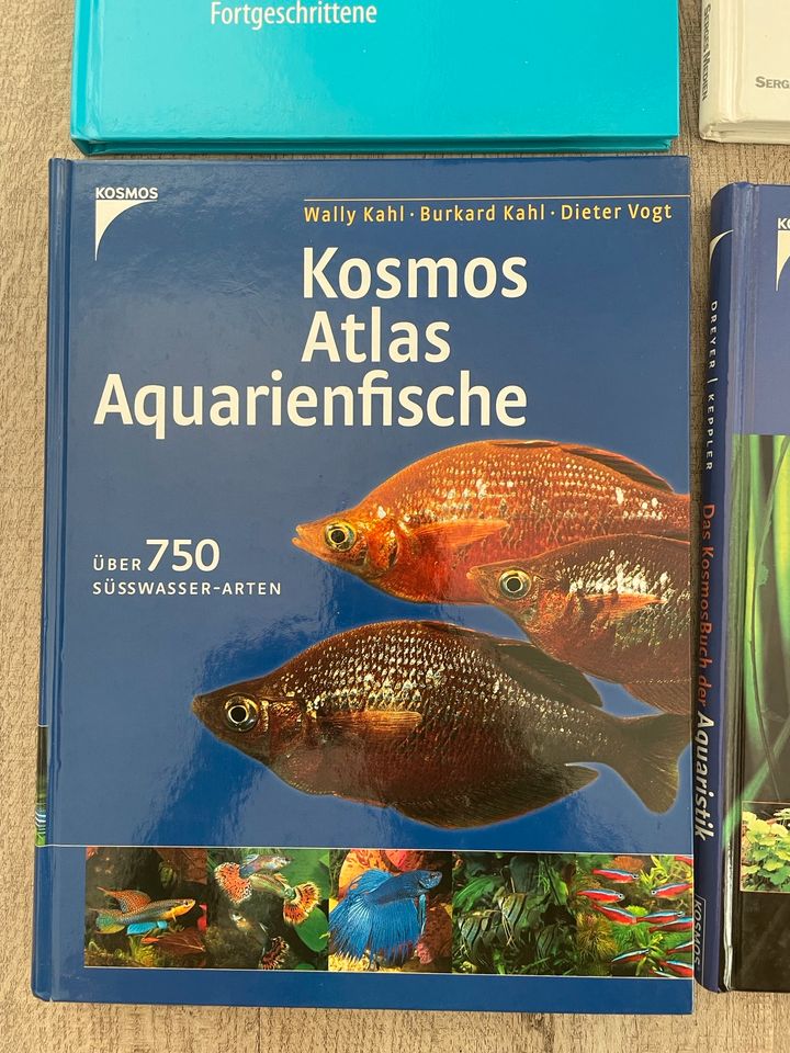 Aquarium Zierfische Aquaristik Bücher Kosmos Fachbuch in Finsterwalde