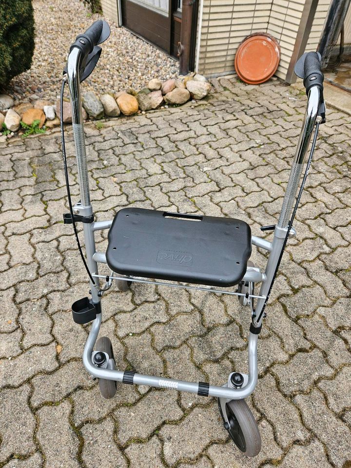 Rollator Gehilfe in Norderstedt