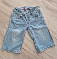Buena Vista Malibu Gr XXS/XS Bayern - Parsberg Vorschau