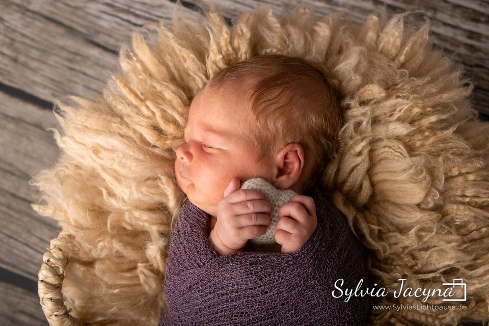 Baby Neugeborenen Newborn Shooting, Fotoshooting in Bad Salzschlirf