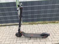 Segway Ninebot E25D E-Scooter Nordrhein-Westfalen - Steinfurt Vorschau