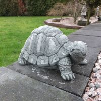 Steinfigur massive Schildkröte Tierfigur Törtel Frostfest Nordrhein-Westfalen - Korschenbroich Vorschau