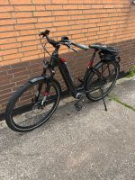 E-Bike Damenrad Flyer Niedersachsen - Landolfshausen Vorschau
