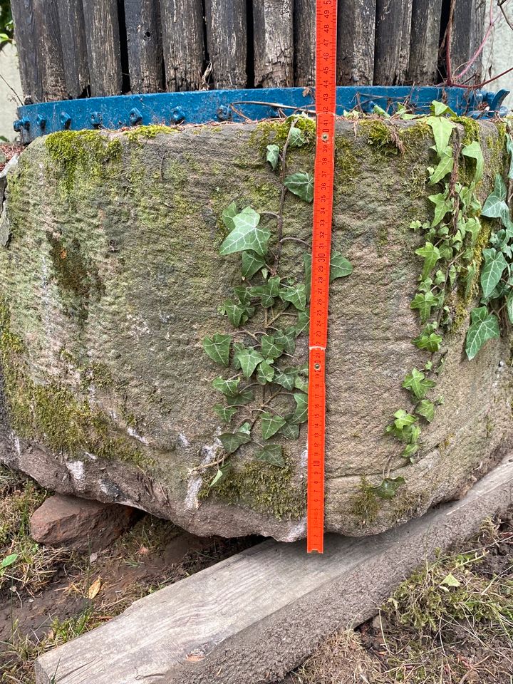 Sandstein Weinpresse in Lahr (Schwarzwald)