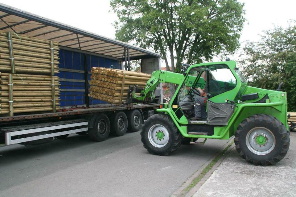 Zaunpfähle - Baumpfähle - Holzpfähle - 10 x 250 cm - imprägniert in Wagenfeld