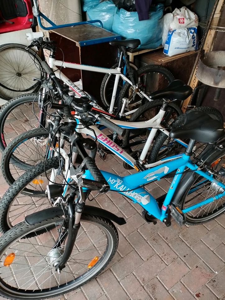 Fahrräder/ Mountainbike 4 Stück in Elmshorn