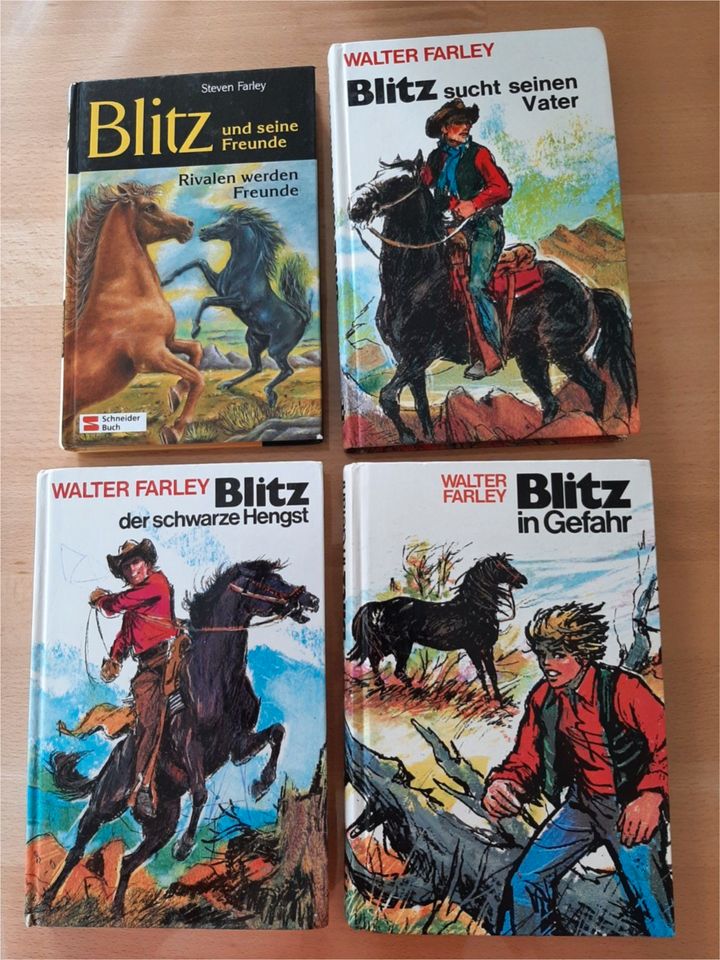 Bücher "Blitz", Pferdebuch je 1,50 EUR in Maselheim