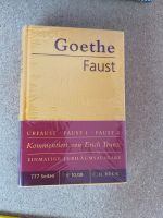 Faust von Goethe Saarbrücken-Mitte - Alt-Saarbrücken Vorschau