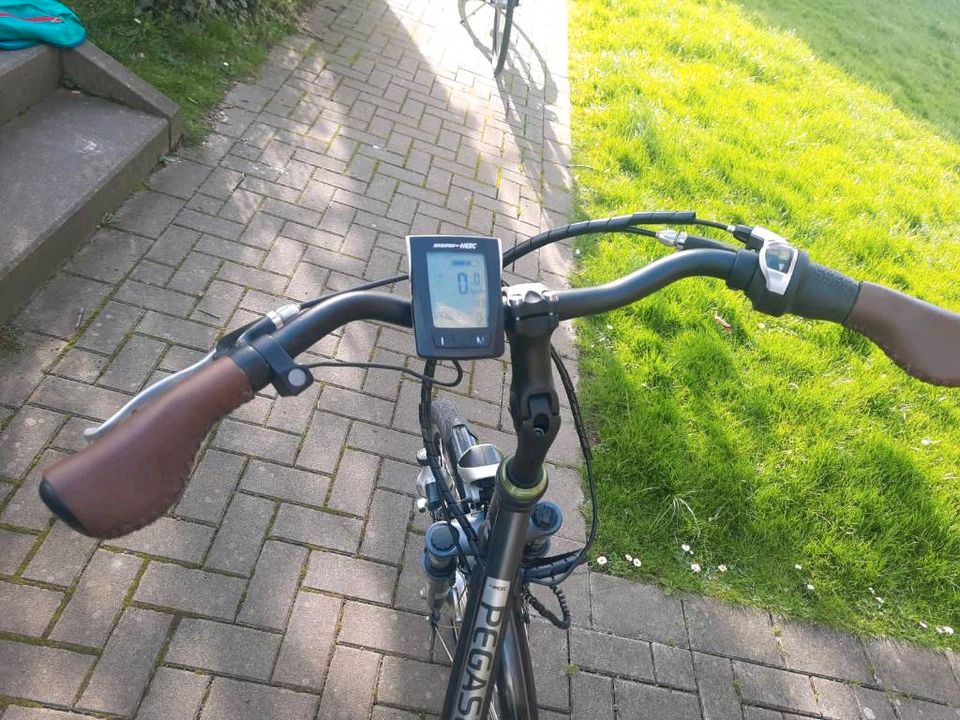 E-Bike Pegasus Solero in Dortmund