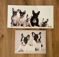 Bild Leinwand Bully French Bulldog Frenchie Baden-Württemberg - Ellhofen Vorschau