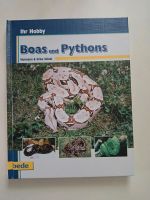 Ihr Hobby Boas und Pythons Sachsen-Anhalt - Eckartsberga Vorschau
