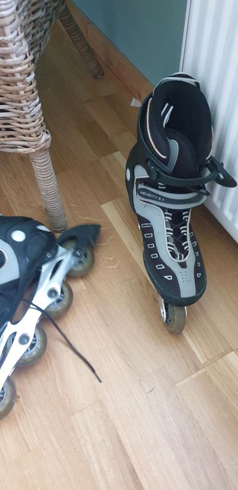 K2 Inliner Velocity Inline-Skates Inline Skater in Ganderkesee