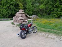 Else Suzuki LS 650 Savage Saarland - Rehlingen-Siersburg Vorschau