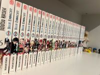 Manga: Blue Exorcist, Band 1-20 Schleswig-Holstein - Ausacker Vorschau