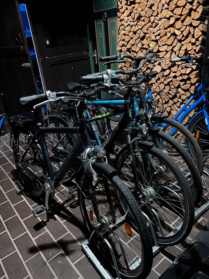 Fahrräder 4 Stück in Neumünster