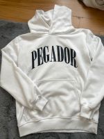 Pegador Pulli Hessen - Riedstadt Vorschau