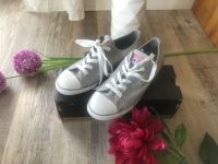 ⭐️ Converse ⭐️ Sneaker ⭐️ Neu ⭐️ 40 ⭐️ Turnschuh OVP Brandenburg - Teltow Vorschau