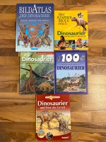 ⭐️ 5 verschiedene Dinosaurier Bücher ⭐️ Hessen - Meinhard Vorschau