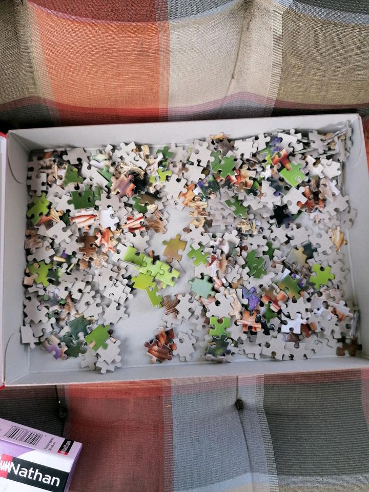 Puzzle Katzen Stück 300 5002x 100 in Dannenwalde (Gumtow)