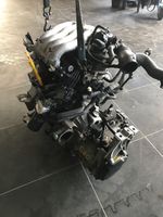 VW AEG Motor Beetle Nordrhein-Westfalen - Recklinghausen Vorschau