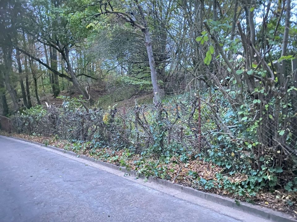 GossDienstleistungen-Rund ums Haus (Noch freie Termine für April) in Neustadt