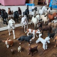 Schleich Pferde Horse Club Hunde Katzen Hasen Berlin - Marienfelde Vorschau