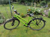 Jugendfahrrad Gudereit Comfort 8.0  53 cm Rahmenhöhe  28 Zoll Nordrhein-Westfalen - Extertal Vorschau