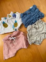 Shorts kurze Hosen 80/86 Baden-Württemberg - Wiesensteig Vorschau