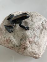 Bronzefigur - (Frosch) Nordrhein-Westfalen - Unna Vorschau