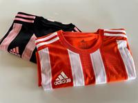 Adidas Nike Gr. L Laufshirt Fußball Trikot Top ‼️ Bayern - Osterhofen Vorschau
