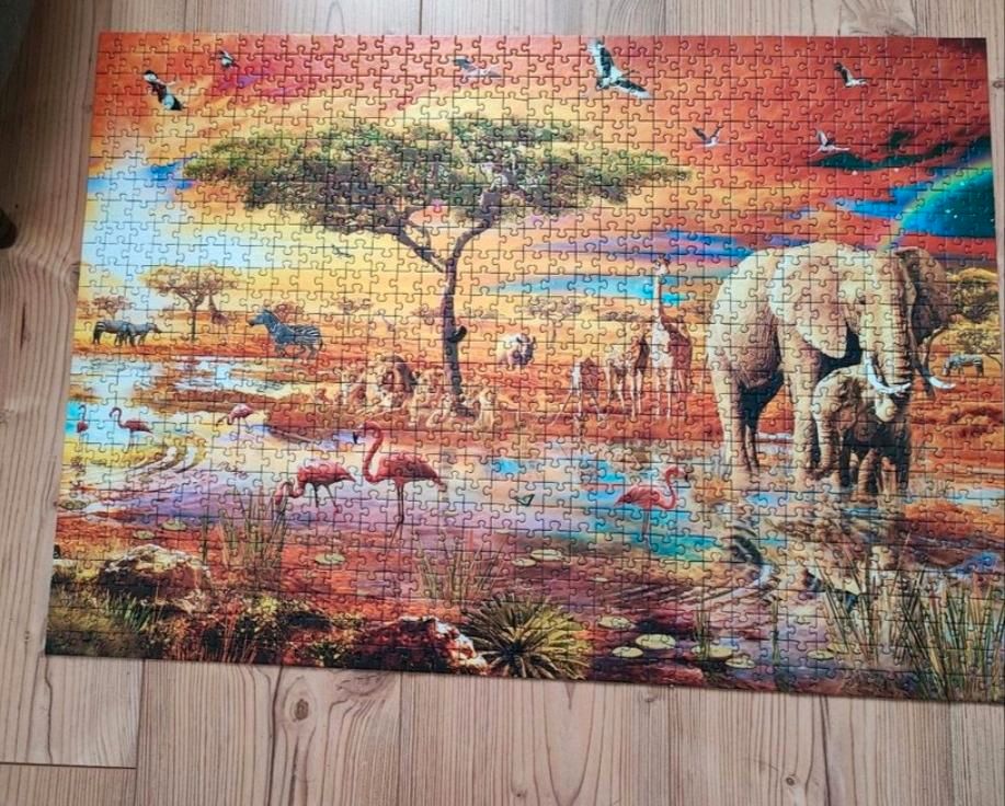 Puzzle 1000 teile in Südbrookmerland