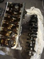 BMW e46 330i e39 530i ci m52b30 m54 Motorblock Motor Block Rumpf Brandenburg - Guben Vorschau