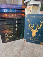 Verschiedene Bücher Game of Thrones, Harry Potter etc. Bayern - Buttenwiesen Vorschau