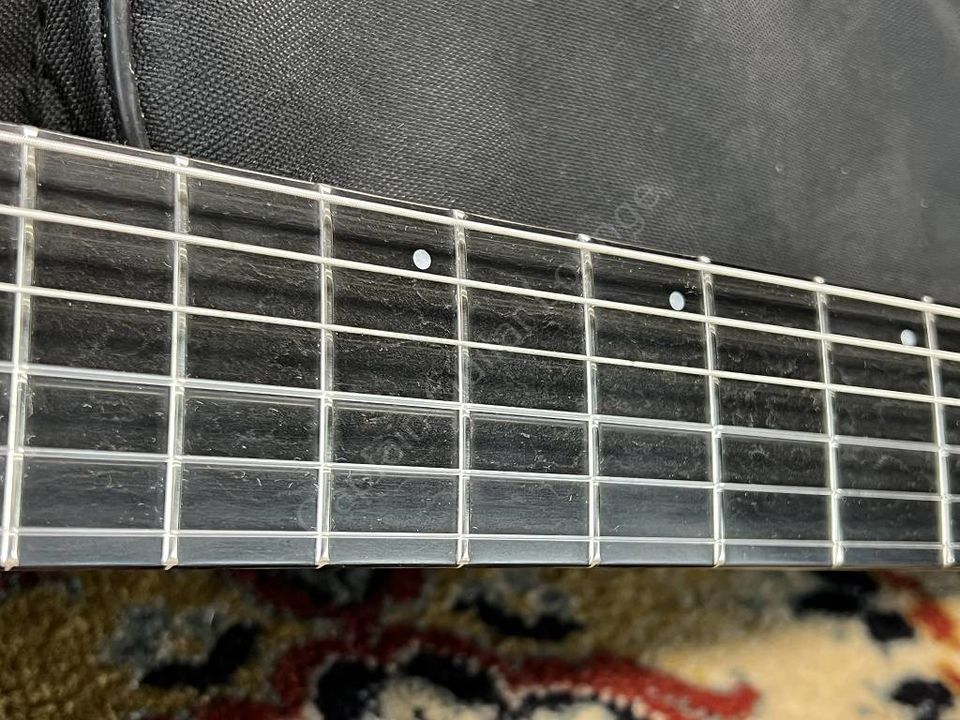 2017 Godin - Multiac Nylon Duet Ambience - ID 3800 in Emmering