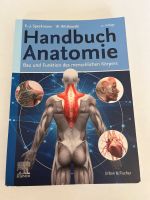 Handbuch Anatomie Niedersachsen - Jade Vorschau