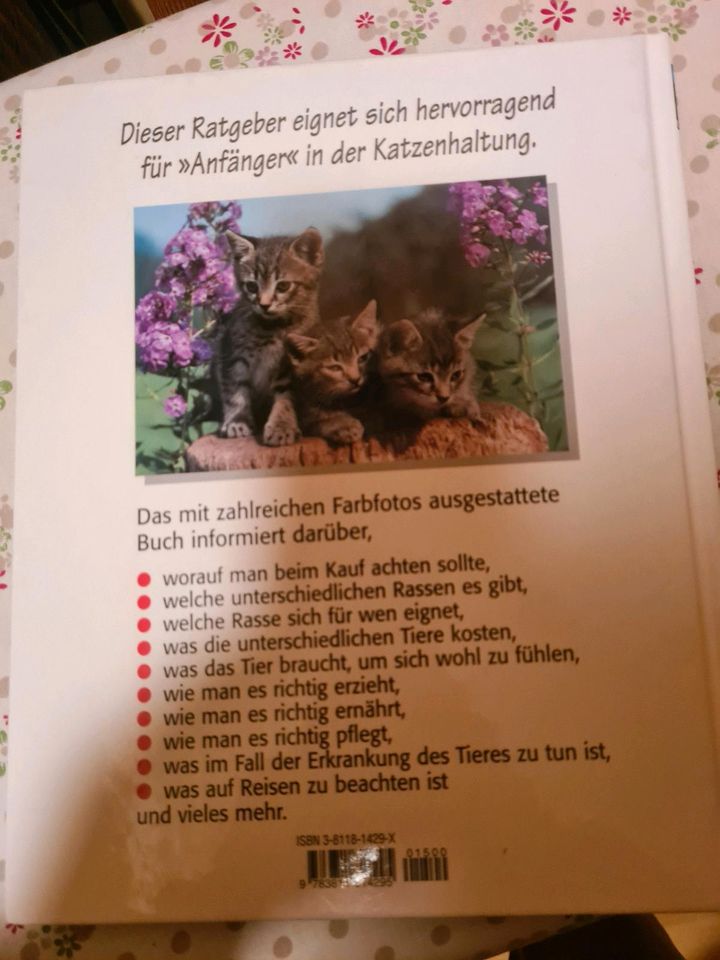 Katzenbuch in Eisenach