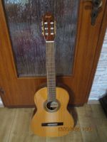 Gitarre ORTEGA R 161 Nordrhein-Westfalen - Euskirchen Vorschau