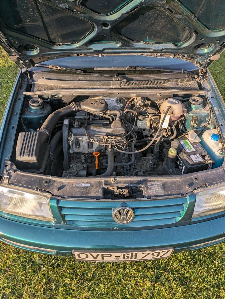 Volkswagen Vento in Spantekow