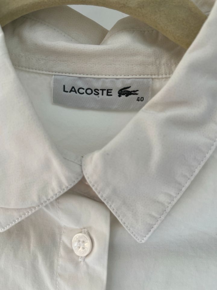 Bluse Lacoste 34 italienische Gr 40 in Neuching