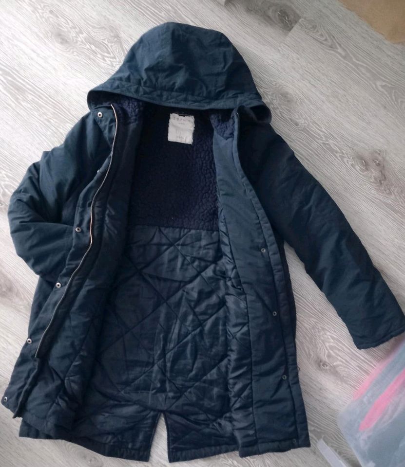 Umstandsjacke von Esprit for Mum's in Nesse-Apfelstädt